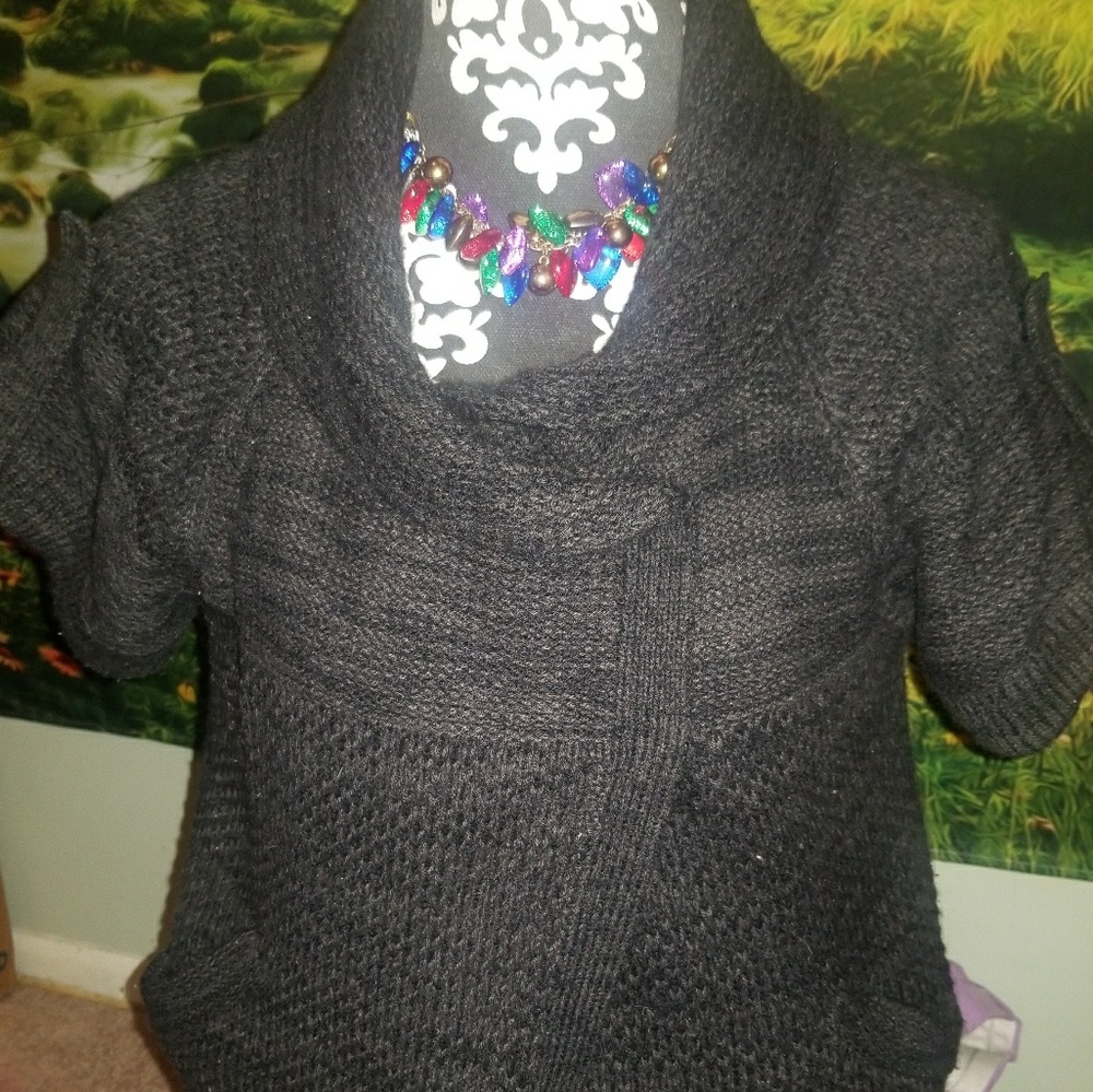 Dress Barn sweater